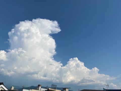 立派な入道雲 注目の空の写真 ウェザーニュース