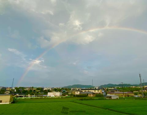 虹ににっこり 注目の空の写真 ウェザーニュース