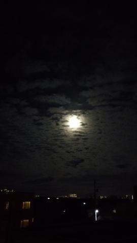 モコモコの鱗雲を月...