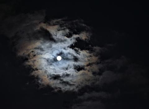 雲を染める待宵の月