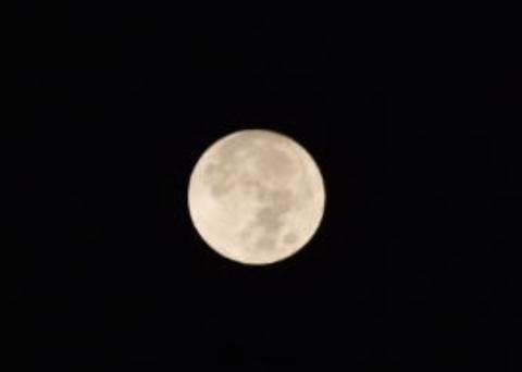 月を撮ってみた。