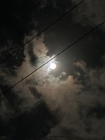 月彩雲が見れました...