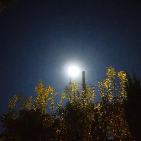 きれいな月、星