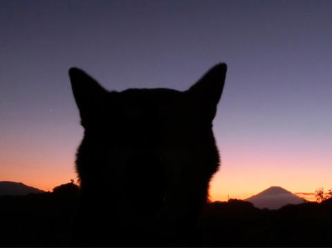 富士山の夕焼けグラ...