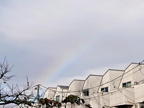 雨上がりの虹 注目の空の写真 ウェザーニュース