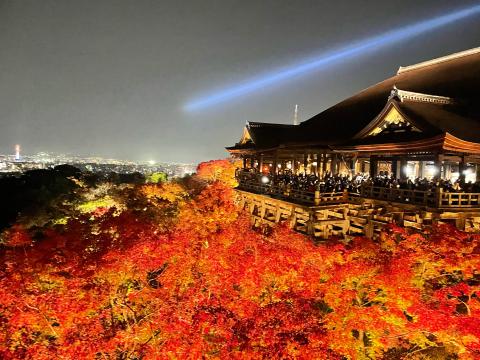京都清水寺の夜の特...