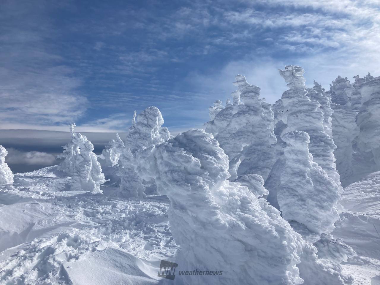 蔵王山頂の樹氷です...
