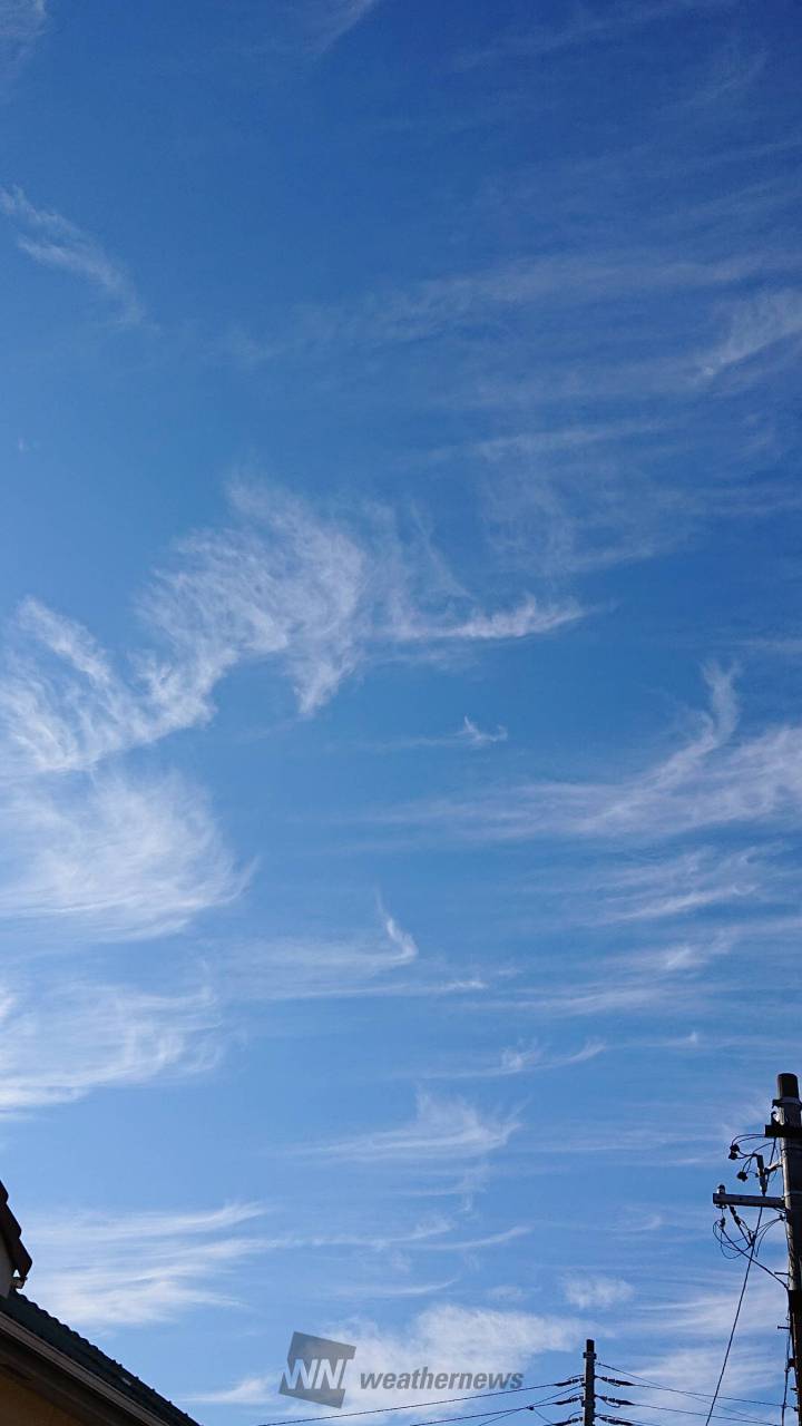 寒さが緩んだ空に ﾌﾜﾌﾜの刷毛雲がたく 愛知県名古屋市瑞穂区 晴れネコ ウェザーニュース