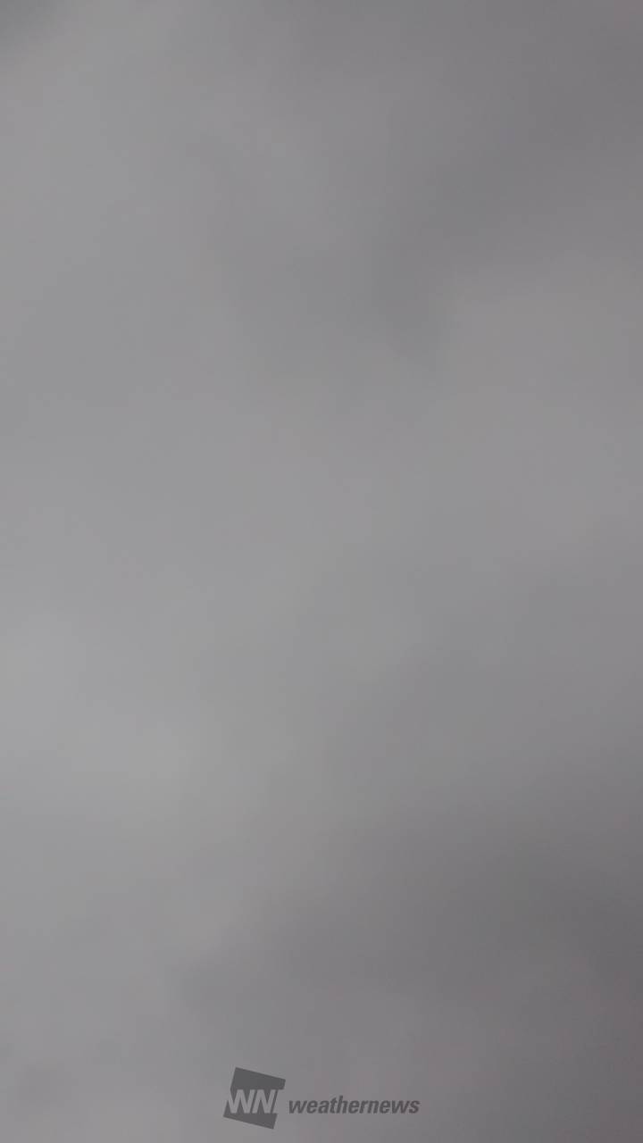 夏の雨の朝 気温25 8 蒸してい 東京都港区 二日月桜 ウェザーニュース 夏の雨の朝 気温25 8 蒸してい 東京都港区 二日月桜 ウェザーニュース