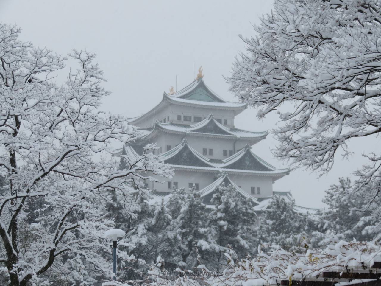 雪化粧した名古屋城...