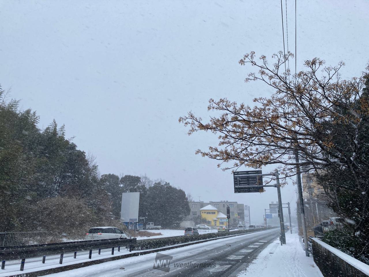久しぶりな積雪。思ったよりも積もっている 和歌山県田辺市 エスケー9 ウェザーニュース
