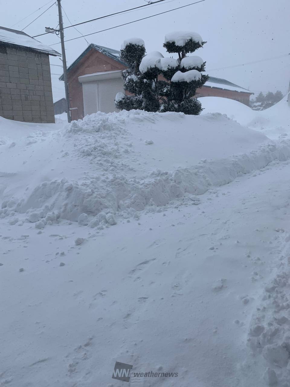片付けても片付けても猛吹雪のせいで、庭も 青森県北津軽郡板柳町 はる ウェザーニュース