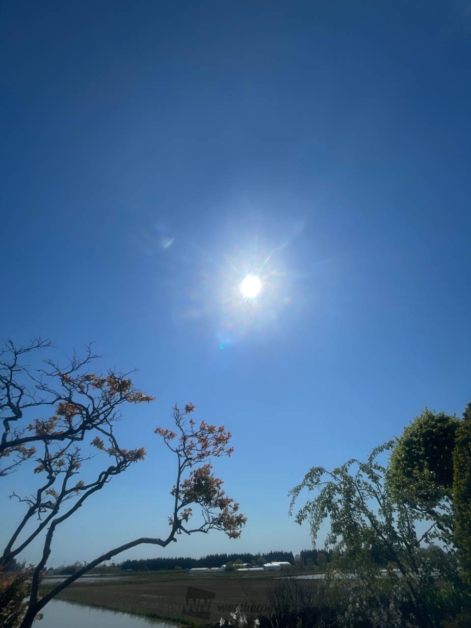 秋田市に行って戻りました。かなりいいお天 秋田県山本郡三種町 ベジタブル ウェザーニュース
