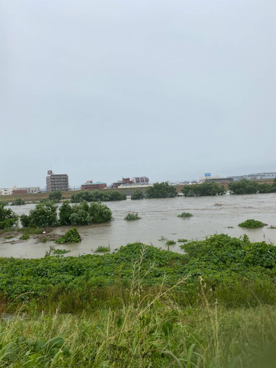 大和川中流の大正橋付近、川と川岸の境目が 大阪府松原市 空ちゃん ウェザーニュース