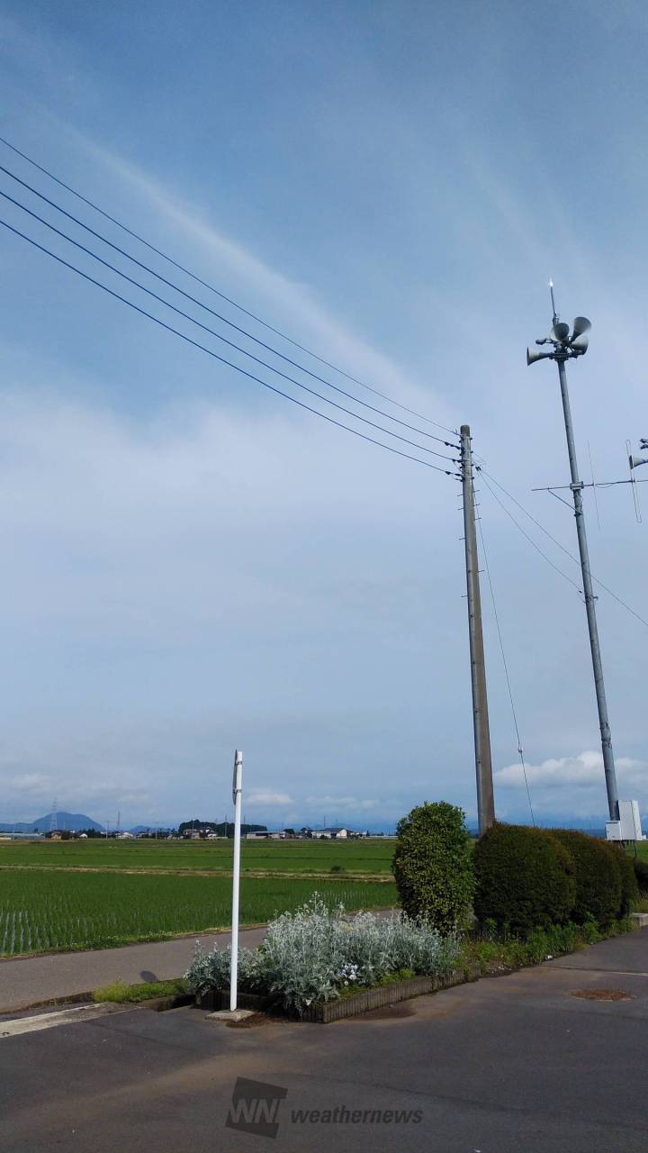 陽射しが暑さを増しています 頭上の空は薄 栃木県さくら市 茶々丸の親分さん ウェザーニュース