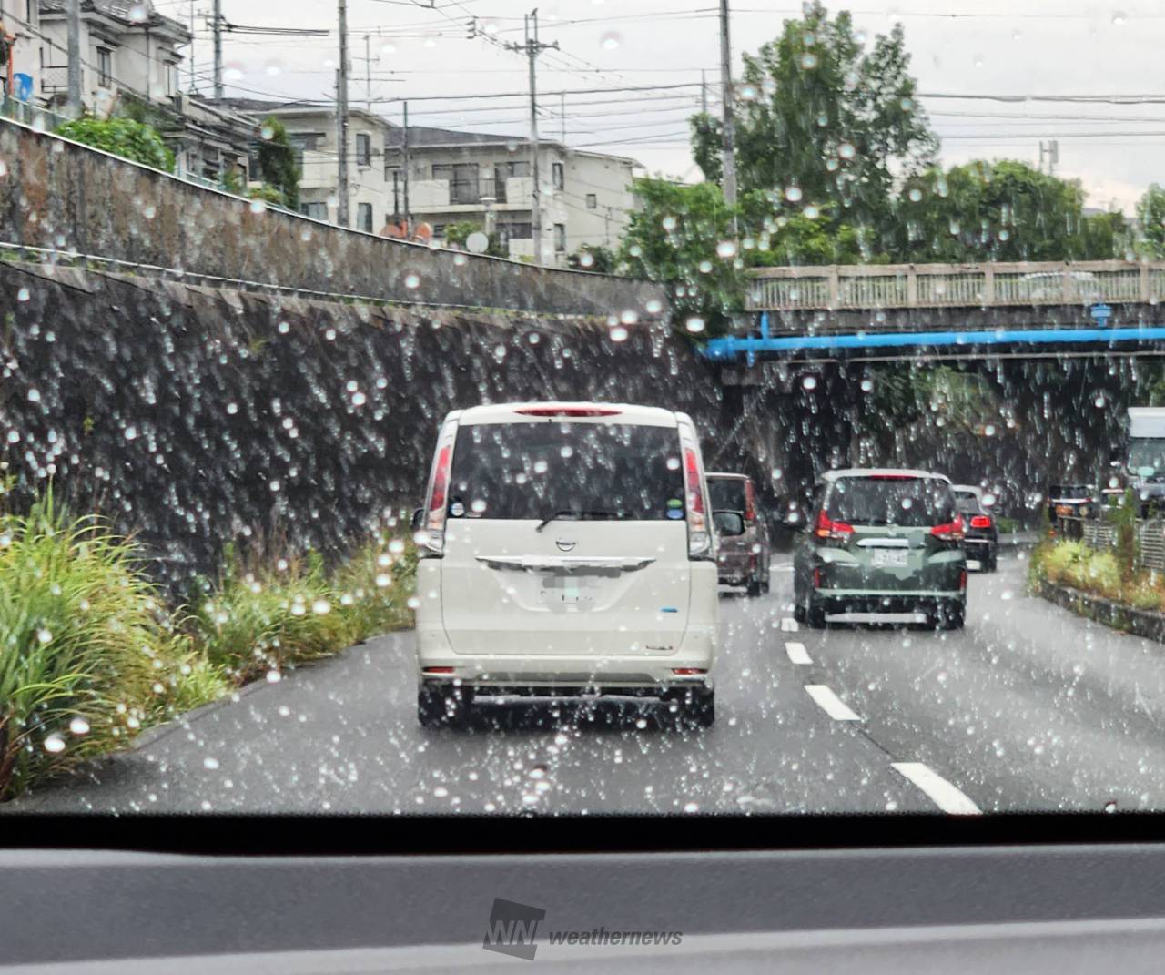 雨が強くなったり弱くなったり。 段々と雨 大阪府富田林市 富田林のなおたん 🐾 ウェザーニュース 雨が強くなったり弱くなったり。 段々と雨 大阪府富田林市 富田林のなおたん 🐾 ウェザーニュース