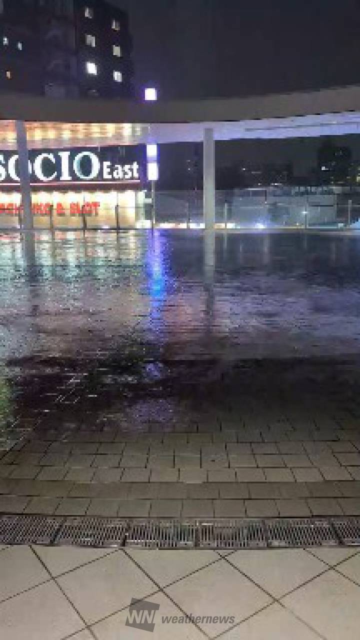 大阪府茨木駅での動画です。雨が止むのを待 大阪府茨木市 こたろう ウェザーニュース 