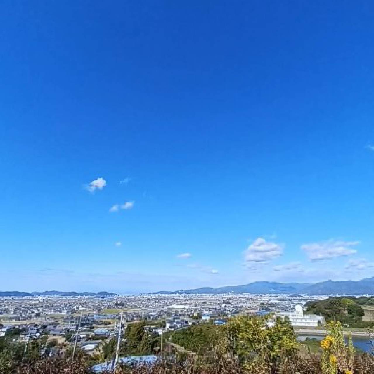 松山自動車道伊予灘SAから望む松山平野で 愛媛県伊予市 松山の八雲(やくも) ウェザーニュース