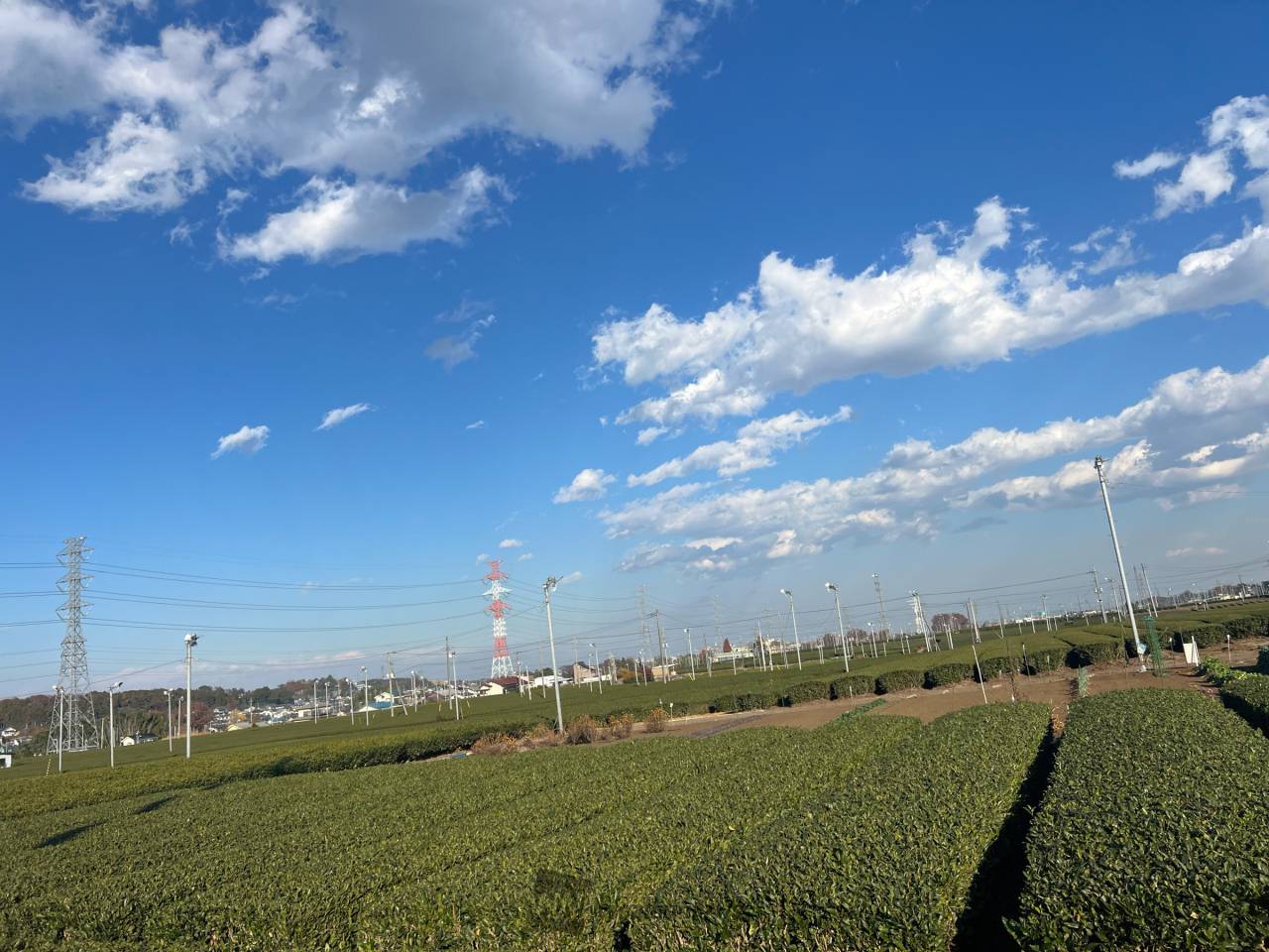 入間市は気持ちの良い冬晴れの空が広がって 埼玉県入間市 赤い悪魔好きのレオ党 ウェザーニュース