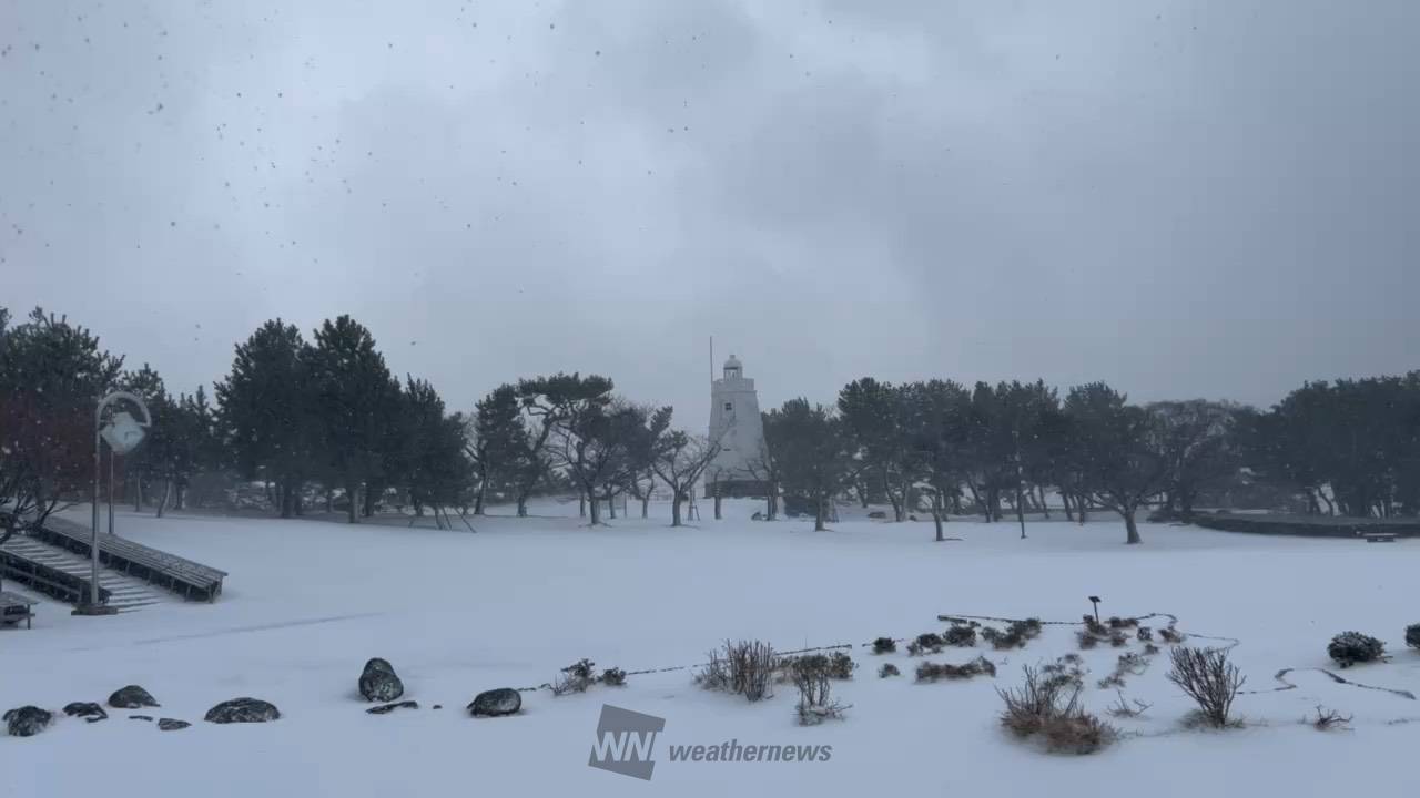 今朝の酒田は、思ったより積もってませんで 山形県酒田市 庄内のソラ♡ ウェザーニュース