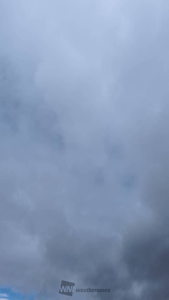 標準気圧より低いですが、雰囲気としてあま 京都府京都市右京区 ろくろうた ウェザーニュース