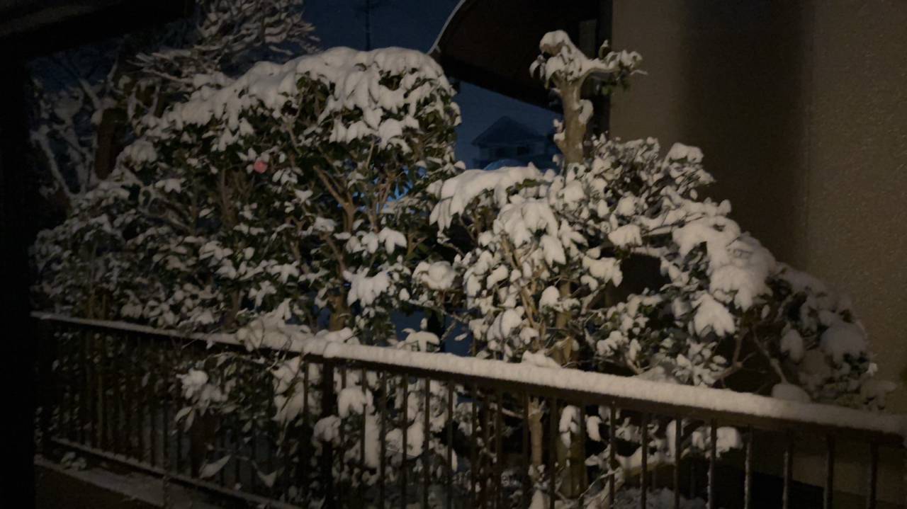 鹿児島市吉野町の今の積雪です。 これから 鹿児島県鹿児島市 さとし ウェザーニュース
