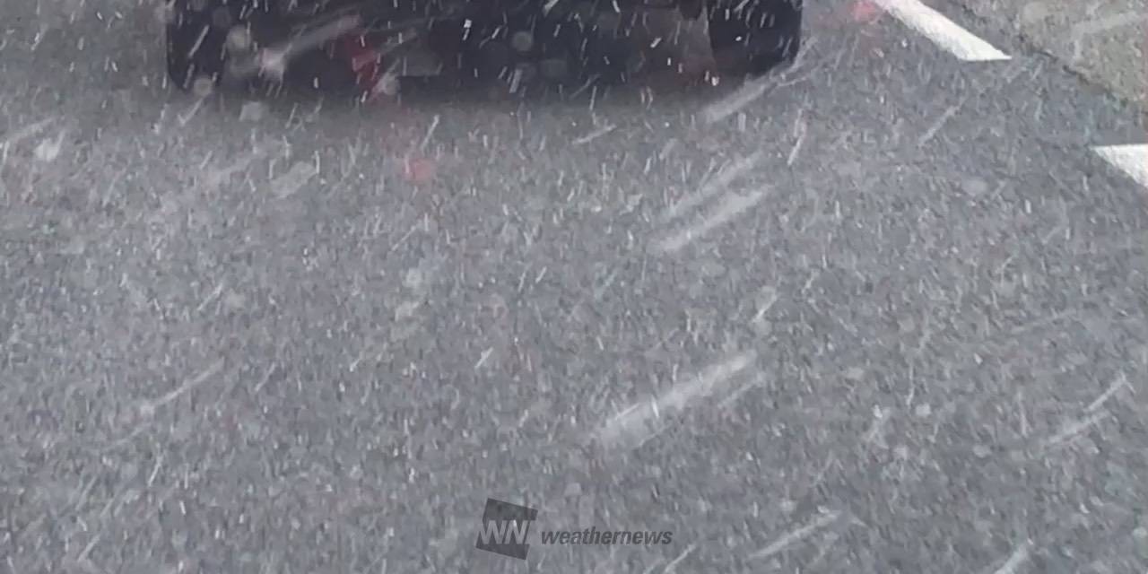 15分ほど前に降り始めた雪がいきなり本降 三重県桑名市 だにそ ウェザーニュース