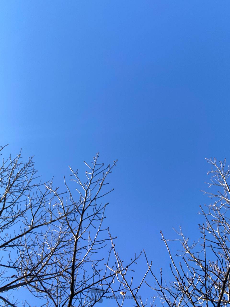 青空広がってますが...