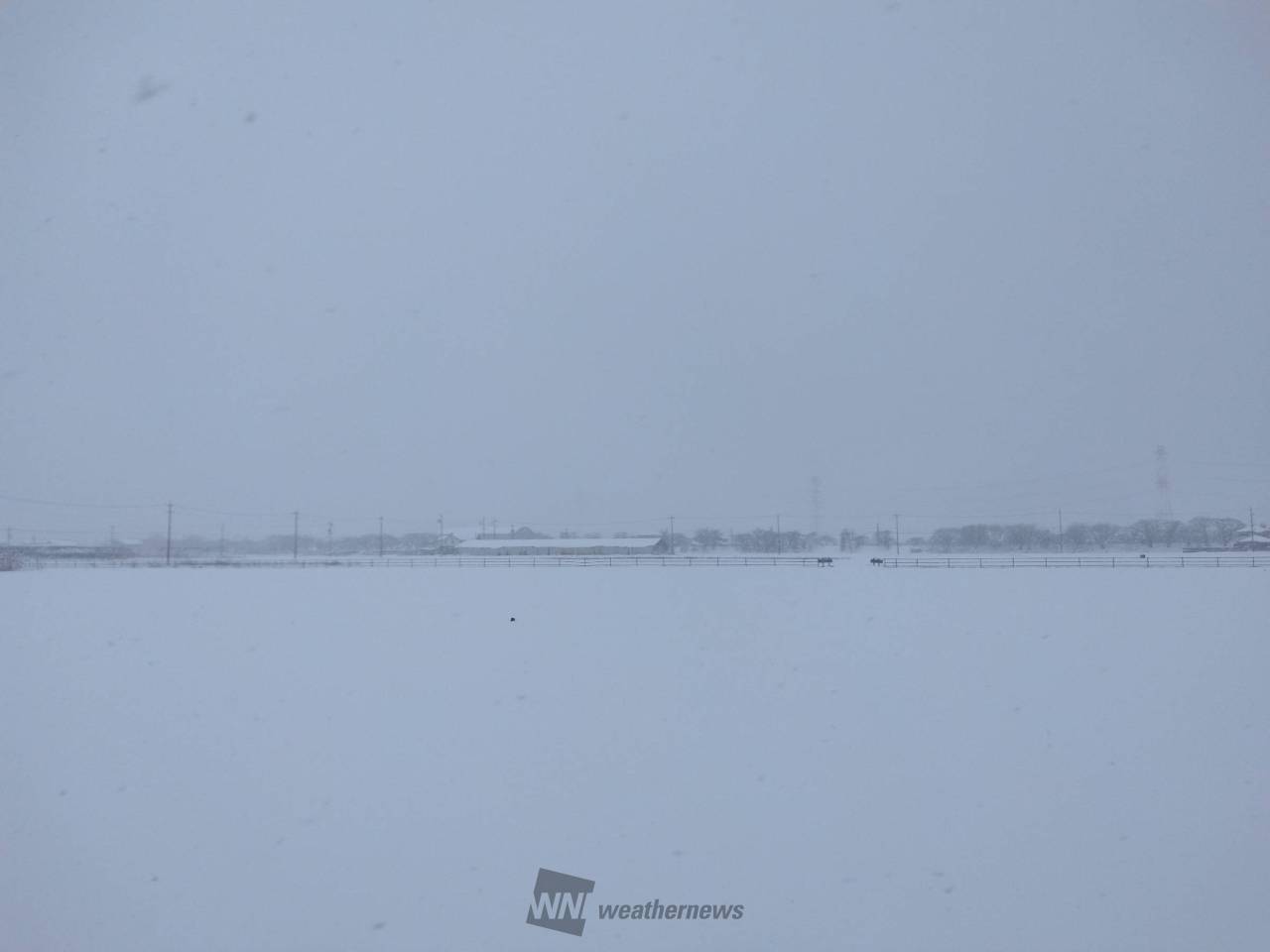神戸町 一面に雪原が広がっています☃️ 岐阜県安八郡神戸町 こってりスパーダ247 ウェザーニュース