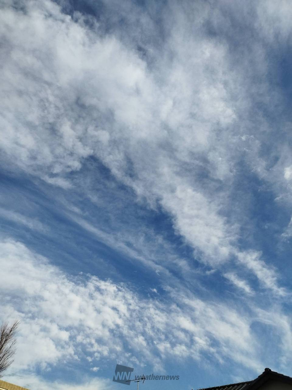 強い風が南から吹いたり、北から吹いたり交 東京都世田谷区 東京都世田谷区の空 ウェザーニュース