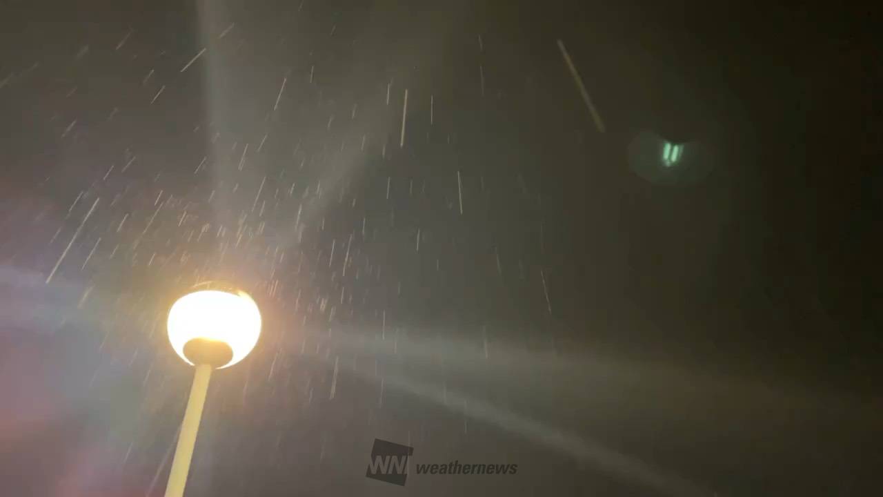 真庭市の久世町からリポートです。 雪では 岡山県真庭市 ポンジ先輩 ウェザーニュース