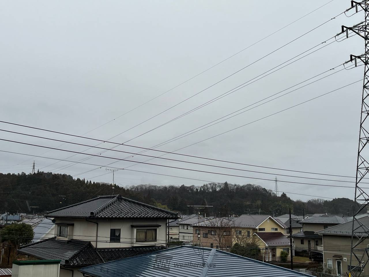 あさイチレポート おはようございます♪ 宮城県柴田郡柴田町 ブナっち ウェザーニュース
