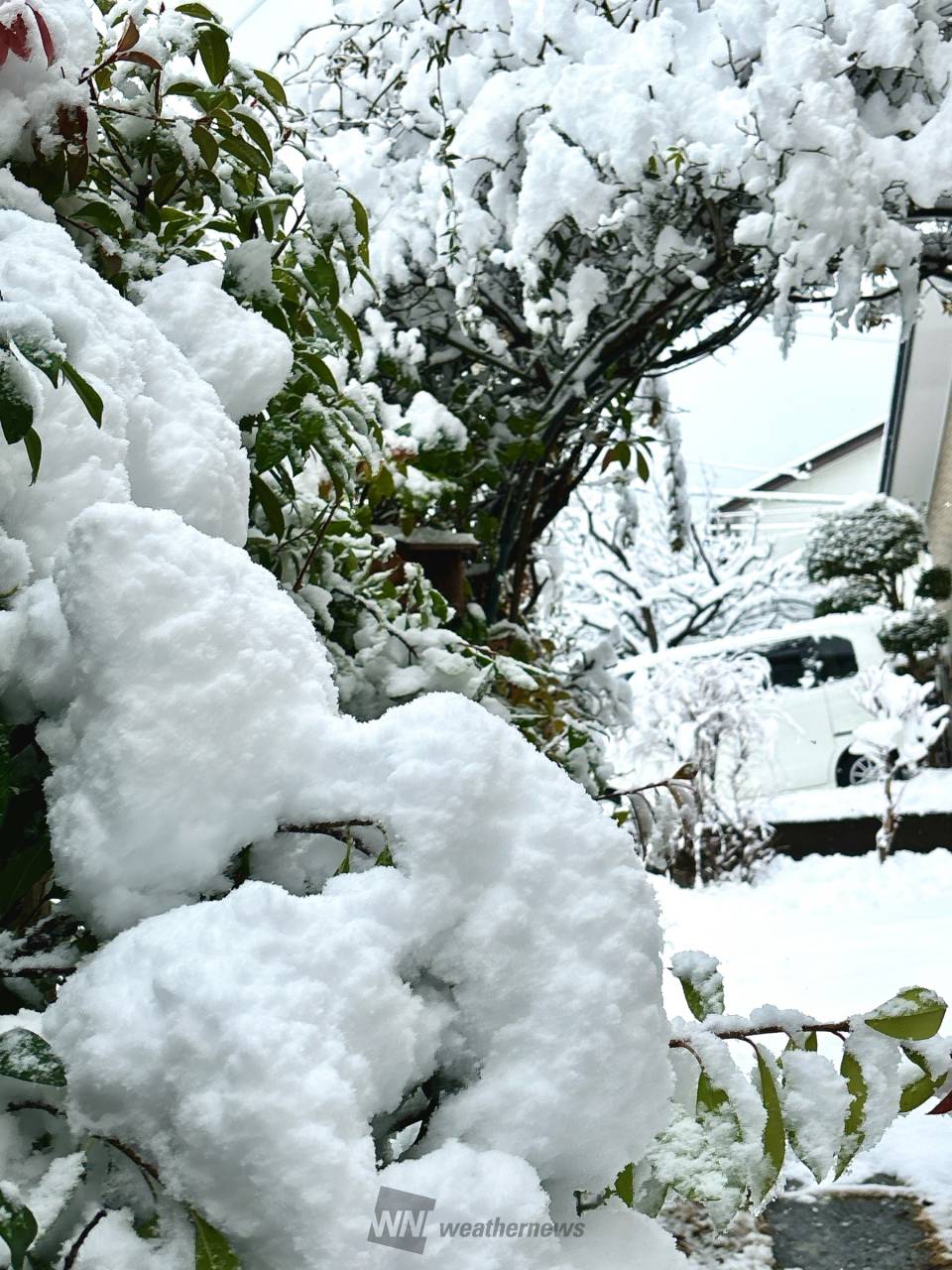 前回よりも重たい雪です。 市街地より標高 長野県松本市 のあら ウェザーニュース