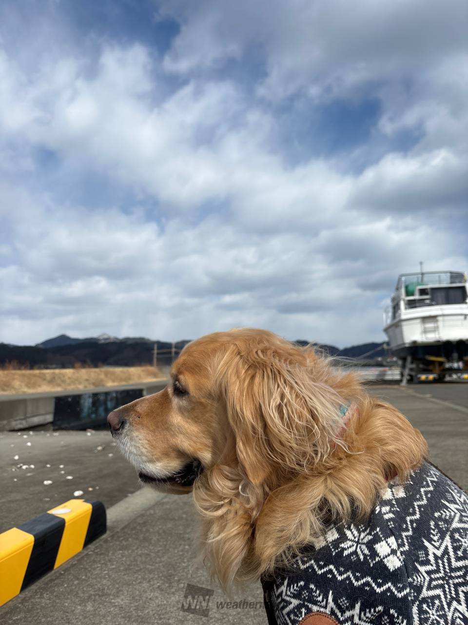 こんにちは😊 青空ですが、風は冷たいです 岩手県釜石市 どんぐりころころ ウェザーニュース