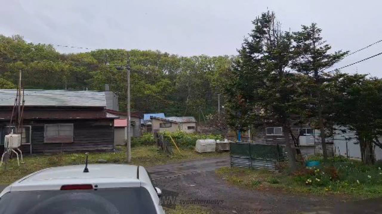 サーレベルの雨。 しばらく降り続きそうで 北海道古宇郡泊村 りゅうや🐉 ウェザーニュース
