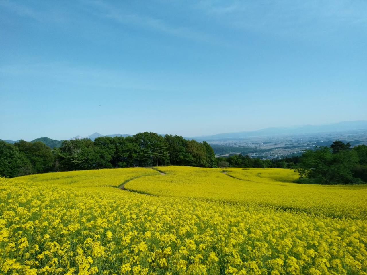 爽やかな晴れ間が広がる一日でした。☀️ | 福島県喜多方市 | 青空のすみっこ | ウェザーニュース