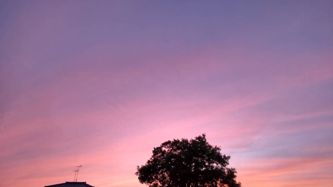 夕焼けは… ﾋﾟﾝｸ空に🙌 久しぶりのﾋ | 茨城県取手市 | 桜の葉 