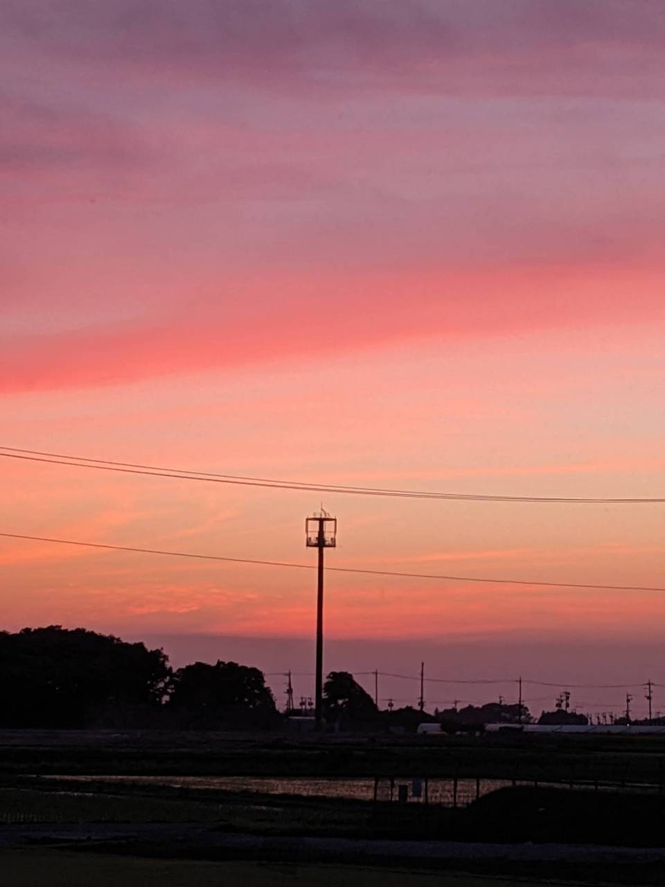 いつものおまけです。 北西の空です（19 | 茨城県つくば市 | ブー子 