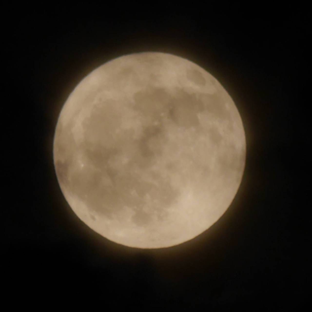 やっと捕まえたよ満月🌕 狭い狭い雲の隙間 | 千葉県成田市 | ☆ﾖｯﾁｬﾝ 