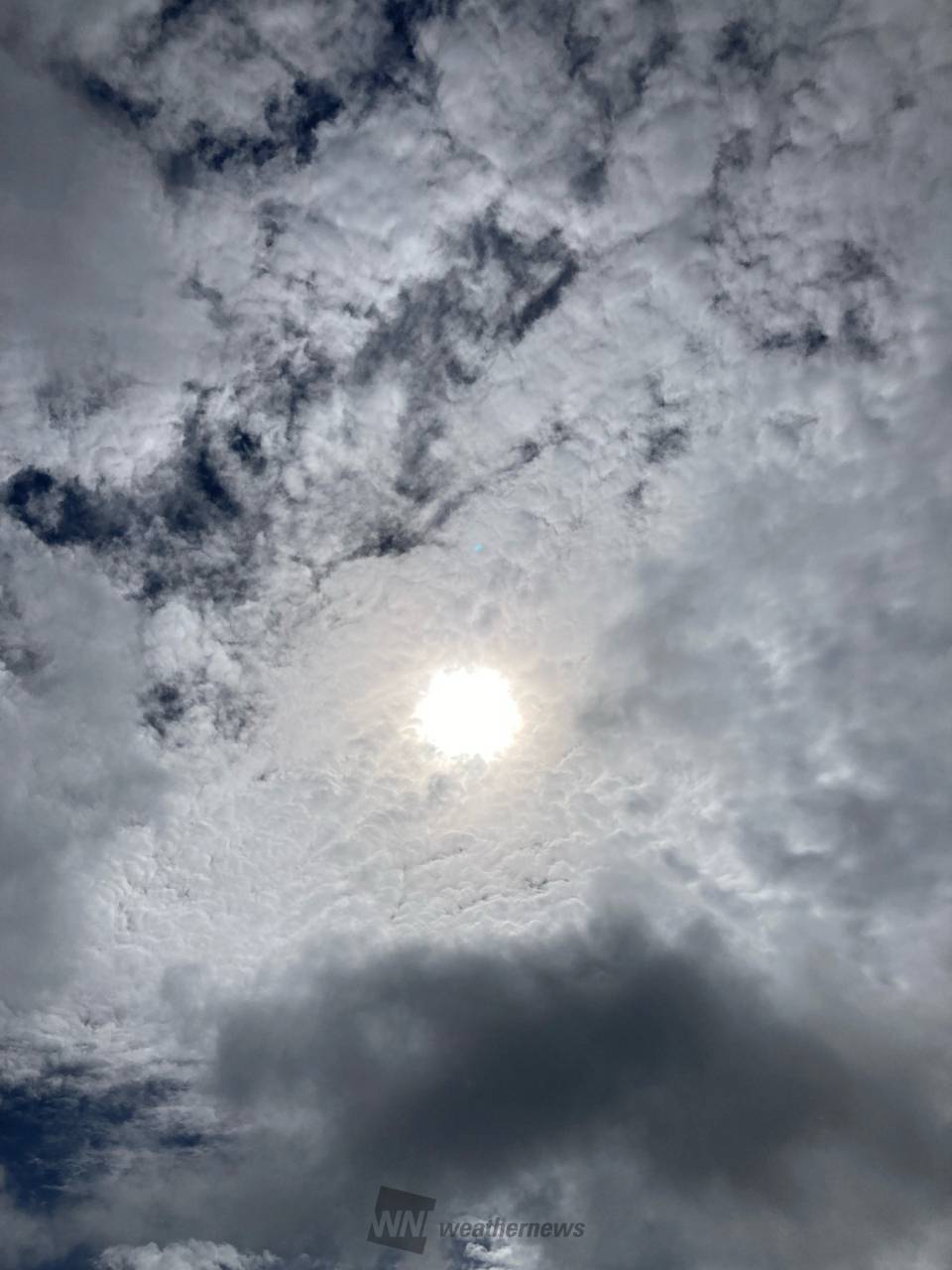 『影なし〜影うっすら』の天気です。 湿っ 沖縄県名護市 プールヴィルの断崖の上の散歩 ウェザーニュース