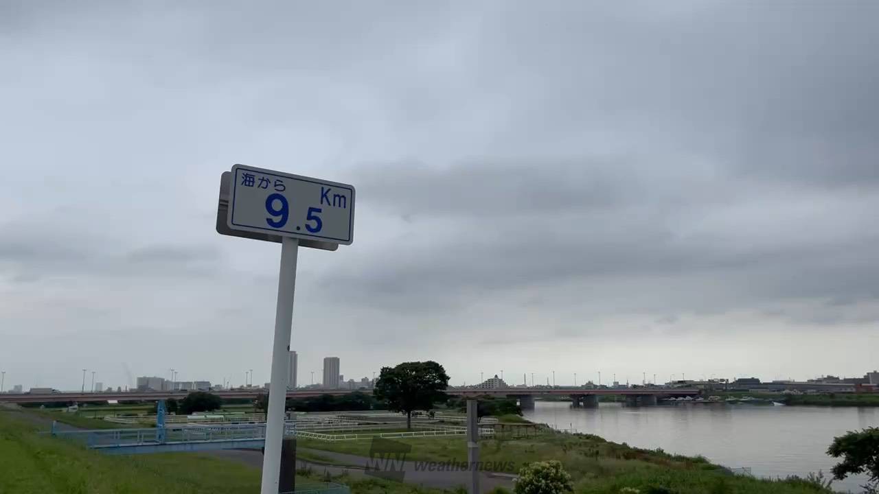 江戸川沿いにて撮影。 グレーの雲に覆われ | 東京都江戸川区 | レイヴンズネスト所属 GHOST CAT | ウェザーニュース