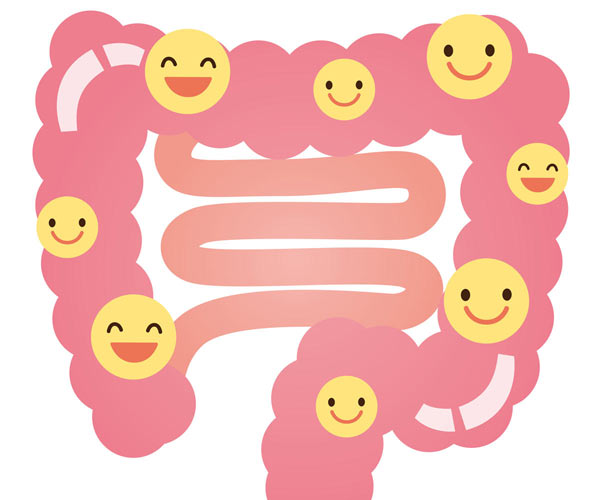 腸内環境がアレルギー疾患の一因