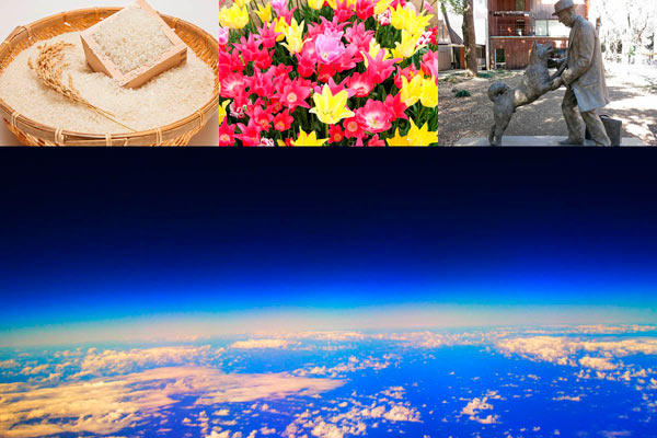 「ハチ公」「チューリップ」など全5問