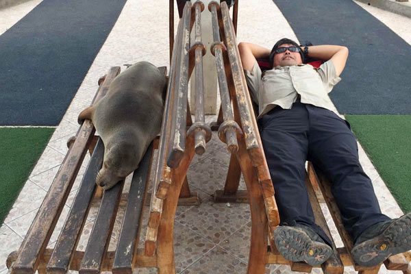 船着場に横になるアシカと筆者