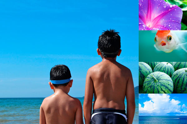 「スイカ」「海」など5つのトリビア