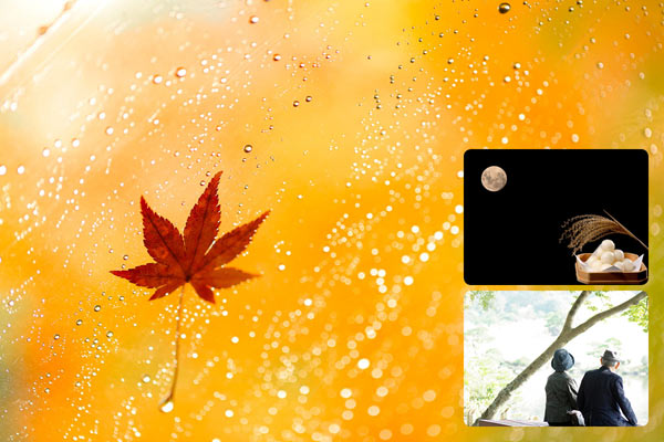 「敬老の日」「お月見」など5つのトリビア