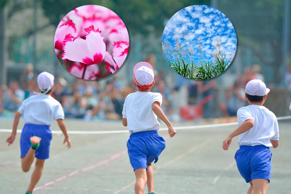 体育の日 の呼び名が変わる ほか全5問 月刊sora