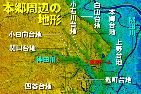 国土地理院のデジタル標高地形図に台地名を追記して掲載