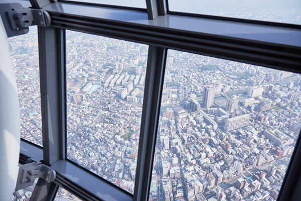 東京の街並みが広がる