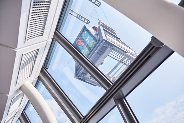 何かがスルスルと降りてきた！